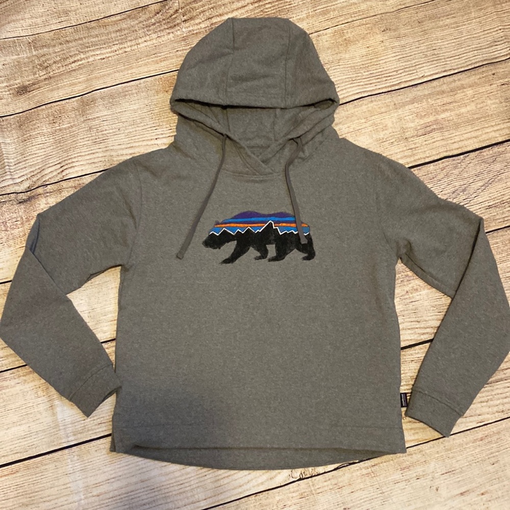 Patagonia Fitz Bear Uprisal Hoody - Picture 1 of 5